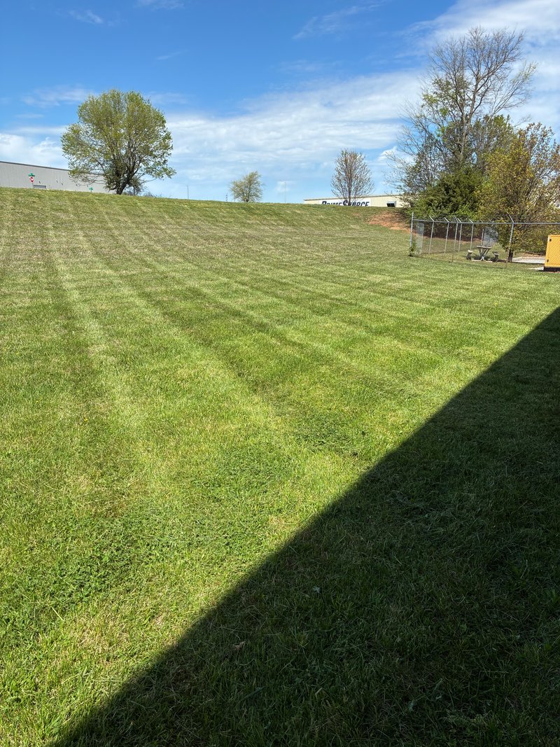 Striped lawn on a commercial slope with trees and blue sky.