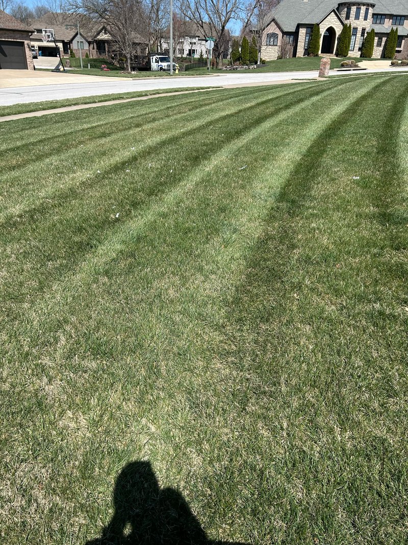 Residential street lawn with a striped cut and houses across the way.